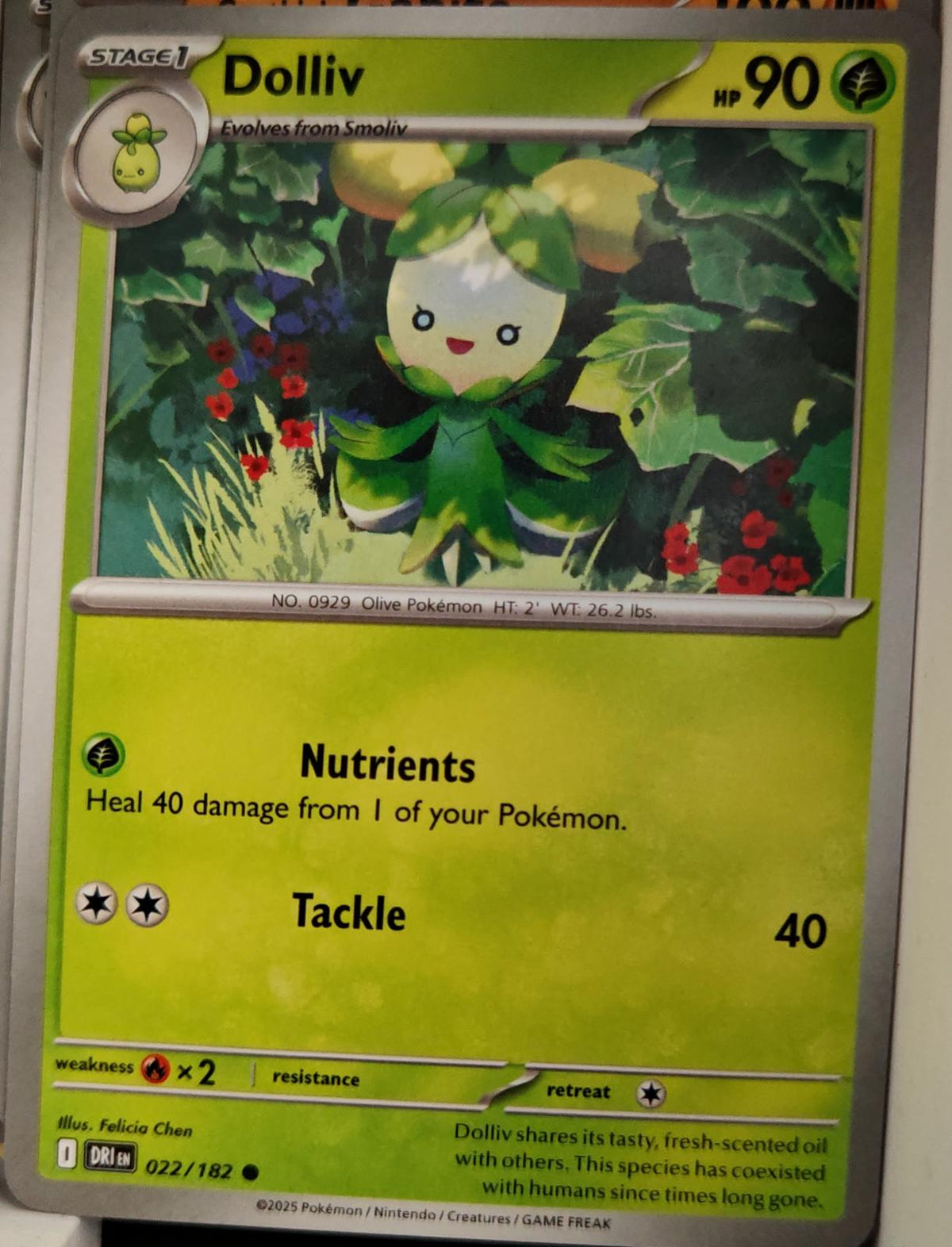 Dolliv - 022/182 - - DESTINED RIVALS - Pokemon - Common | AA12-22