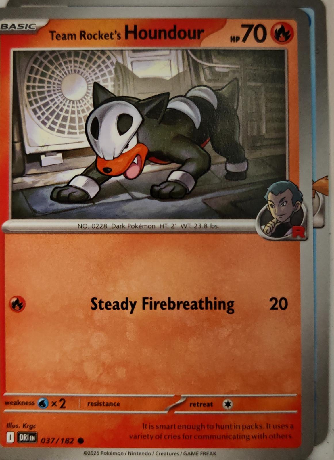 Team Rocket's Houndour - 037/182 - - DESTINED RIVALS - Pokemon - Common | AA10-2