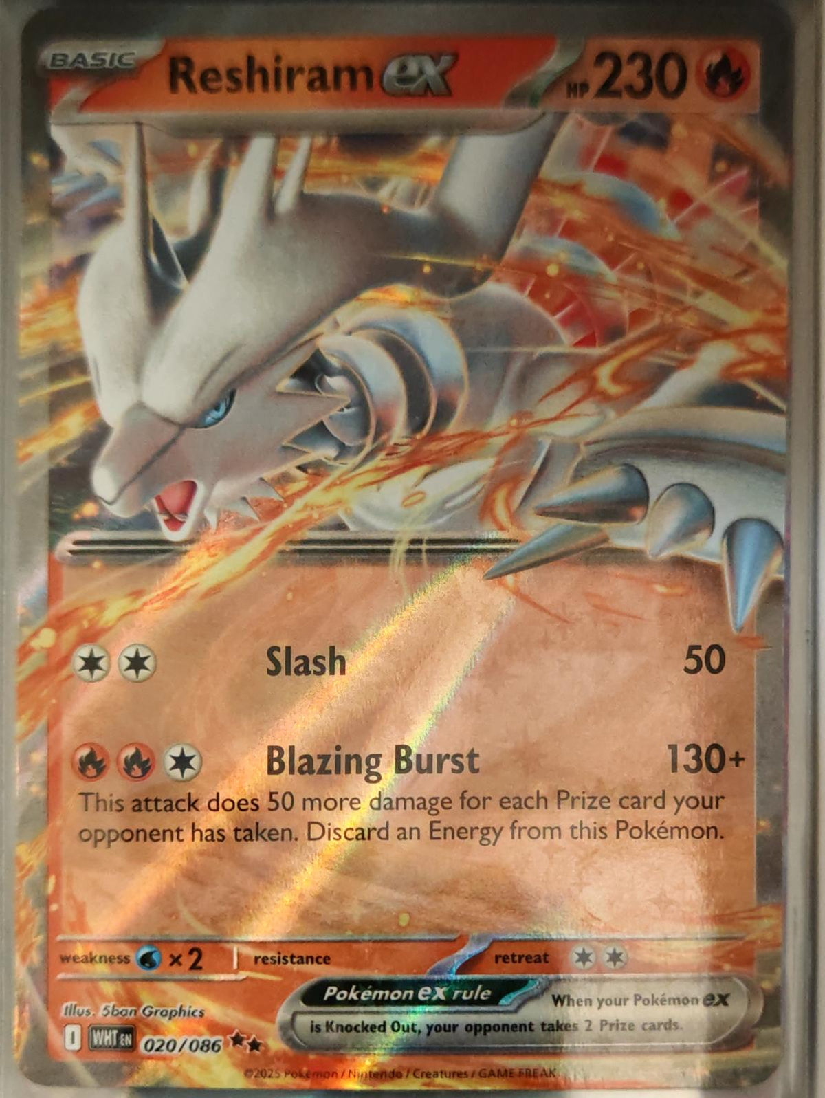 Reshiram ex - 020/086 - Holo - WHITE FLARE - Pokemon - Double Rare | AA37-6
