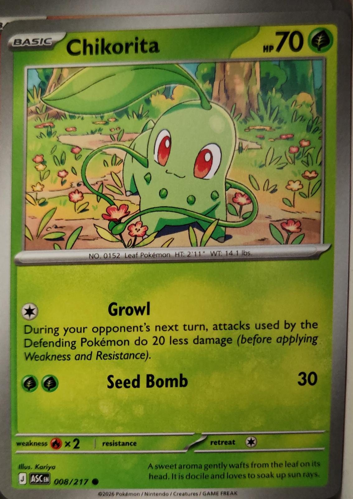 Chikorita - 008/217 - - ASCENDED HEROES - Pokemon - Common | AA10-35
