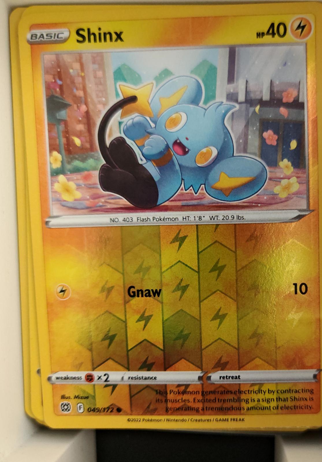Shinx - 049/172 - Reverse Holo - BRILLIANT STARS - Pokemon - Common | AA22-61