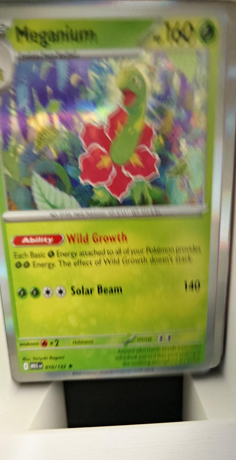 Meganium - 010/132 - Holo - MEGA EVOLUTION - Pokemon - Rare | AA20-69