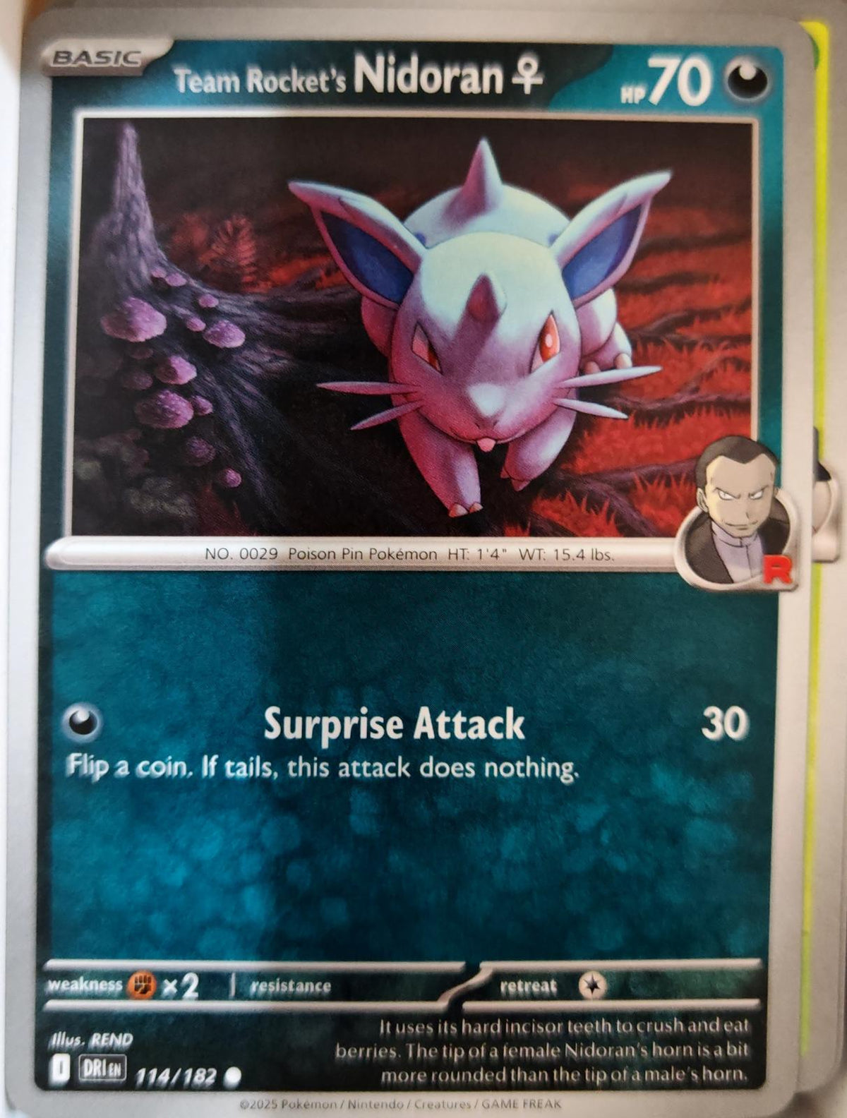Team Rocket's NidoranF - 114/182 - - DESTINED RIVALS - Pokemon - | AA07-70