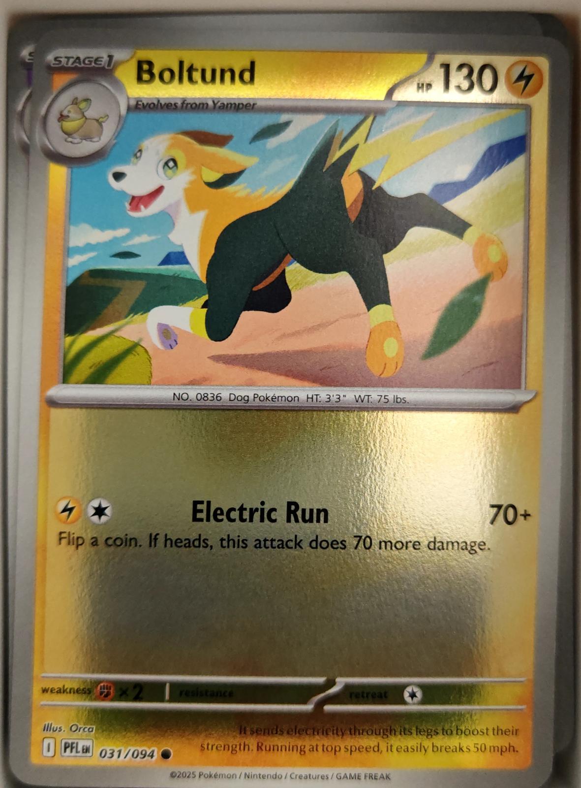 Boltund - 031/094 - Reverse Holo - PHANTASMAL FLAMES - Pokemon - | AA04-54