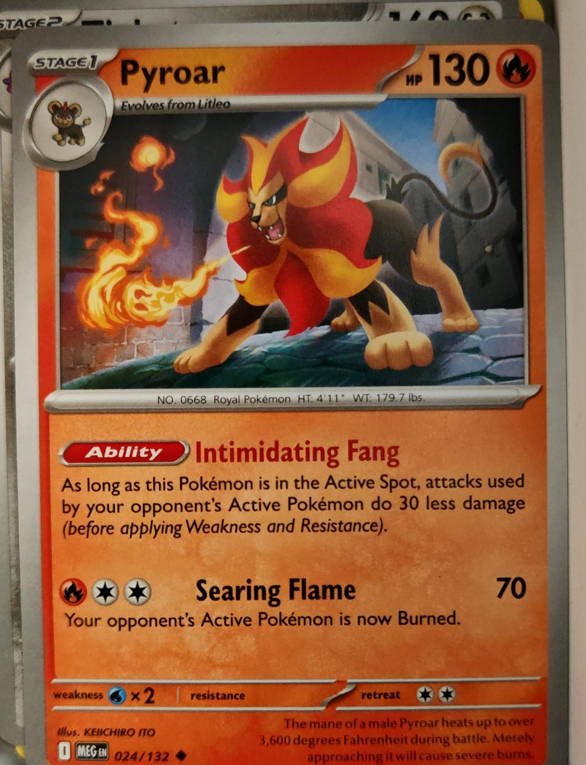 Pyroar - 024/132 - - MEGA EVOLUTION - Pokemon - Uncommon | AA12-19