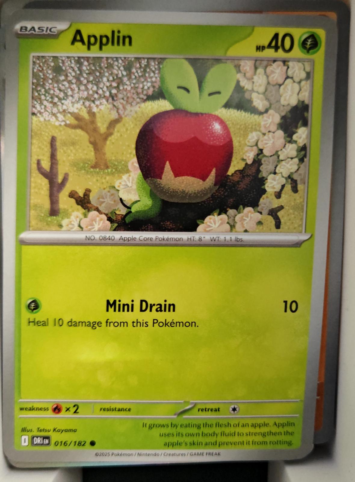 Applin - 016/182 - - DESTINED RIVALS - Pokemon - Common | AA20-72