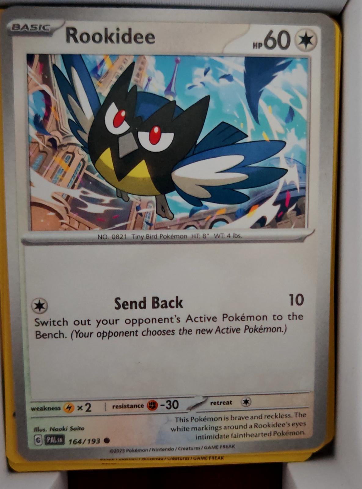 Rookidee - 164/193 - - PALDEA EVOLVED - Pokemon - Common | AA41-24