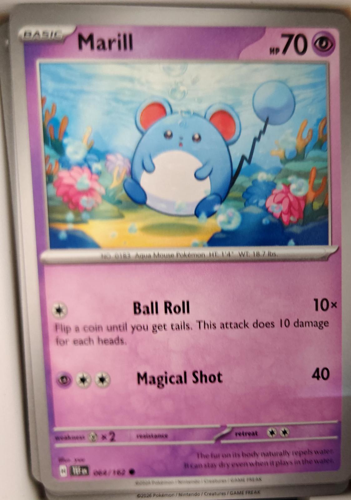 Marill - 064/162 - - TEMPORAL FORCES - Pokemon - Common | AA22-87