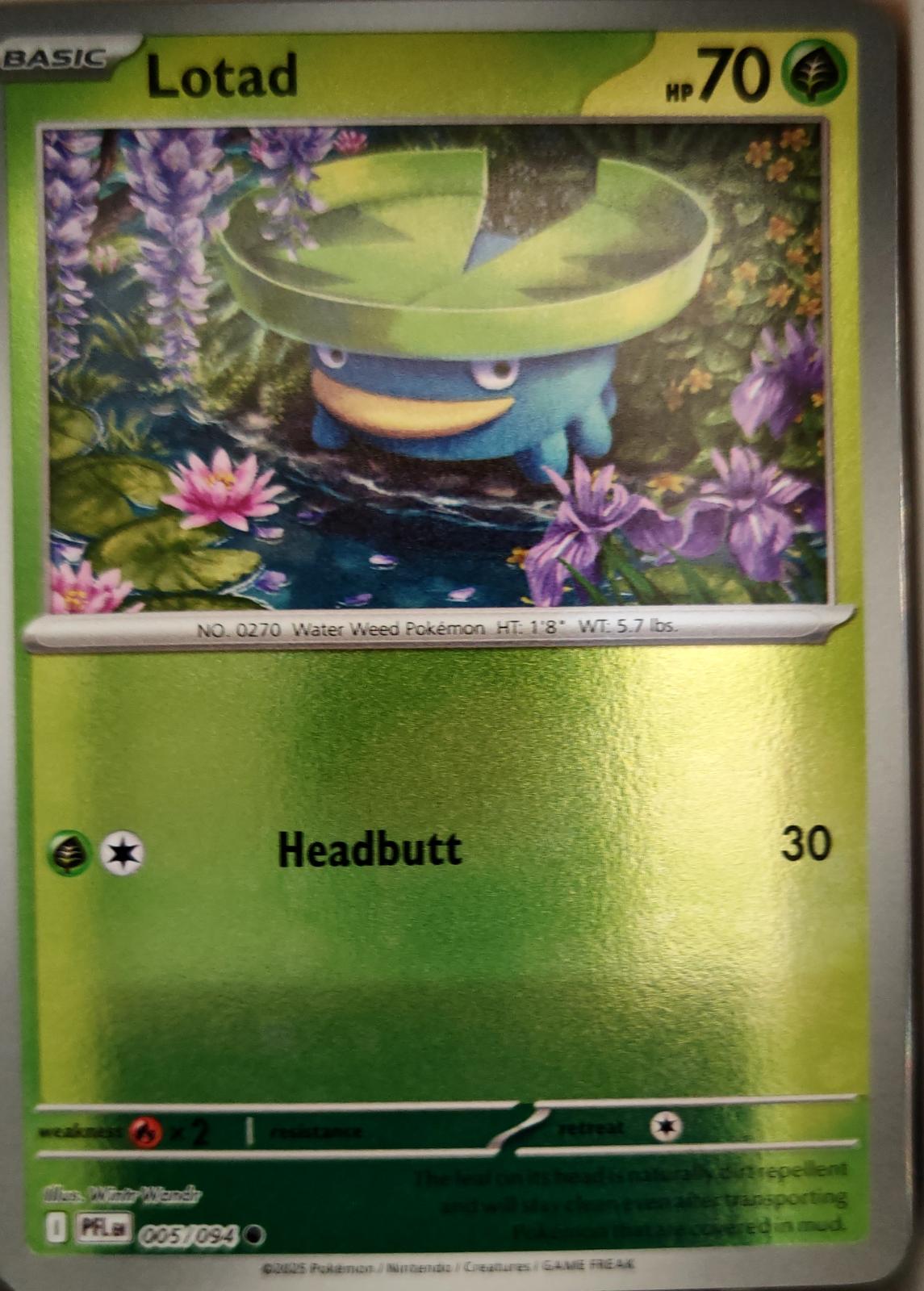 Lotad - 005/094 - - PHANTASMAL FLAMES - Pokemon - Common | AA06-78
