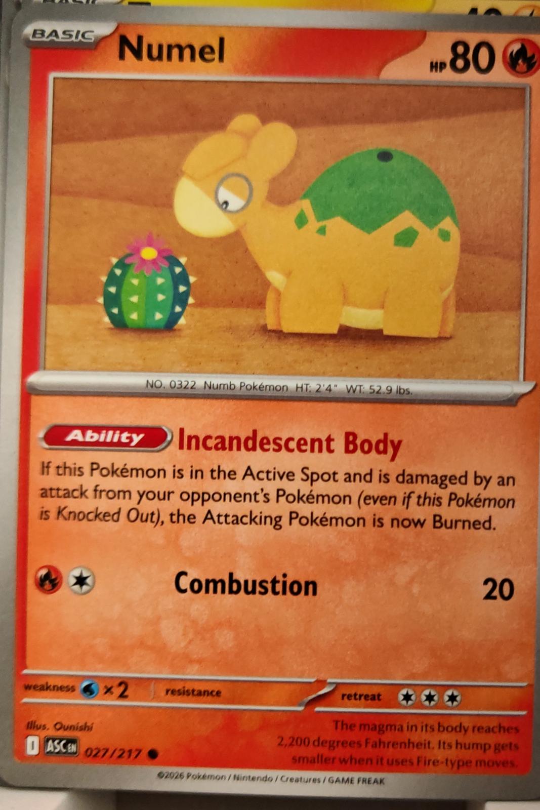 Numel - 027/217 - - ASCENDED HEROES - Pokemon - Common | AA11-79