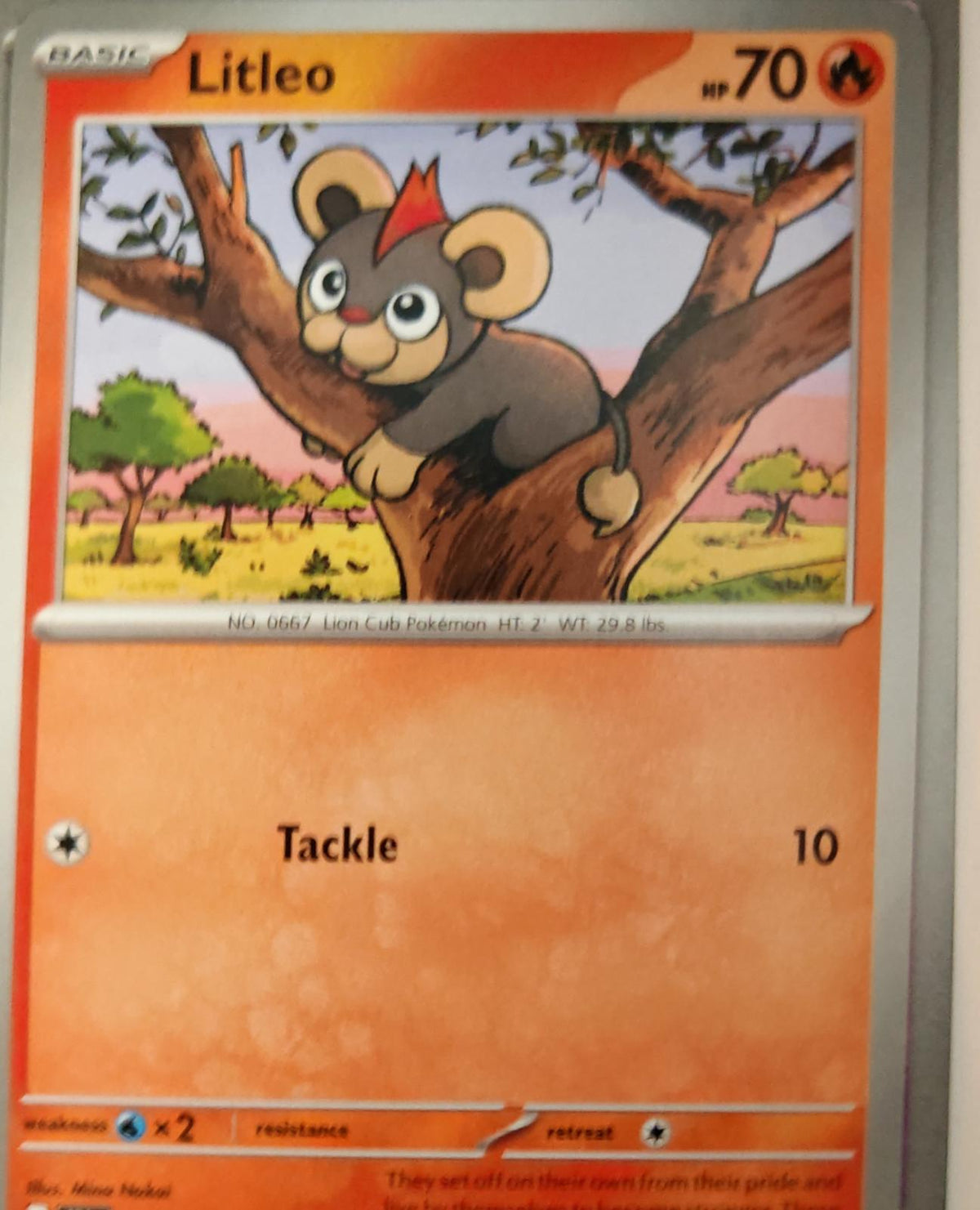 Litleo - 014/086 - - CHAOS RISING - Pokemon - Common | AA36-41