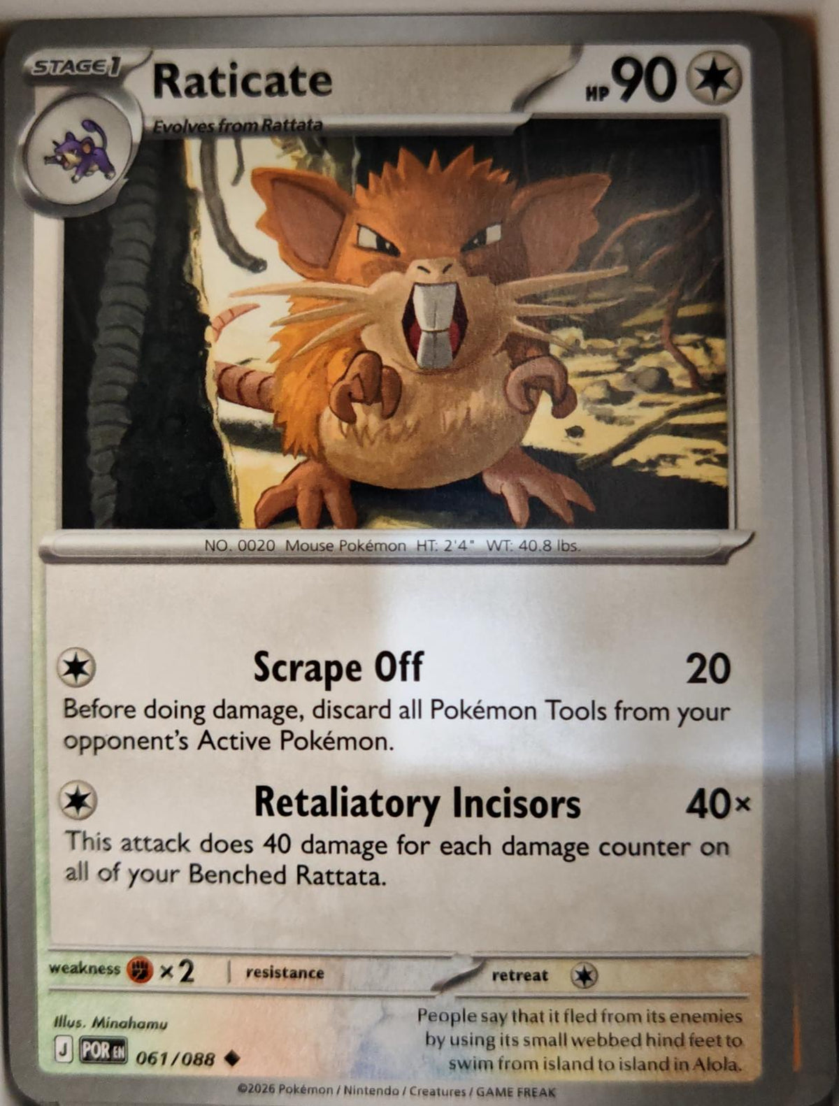 Raticate - 061/088 - - PERFECT ORDER - Pokemon - Uncommon | AA05-40