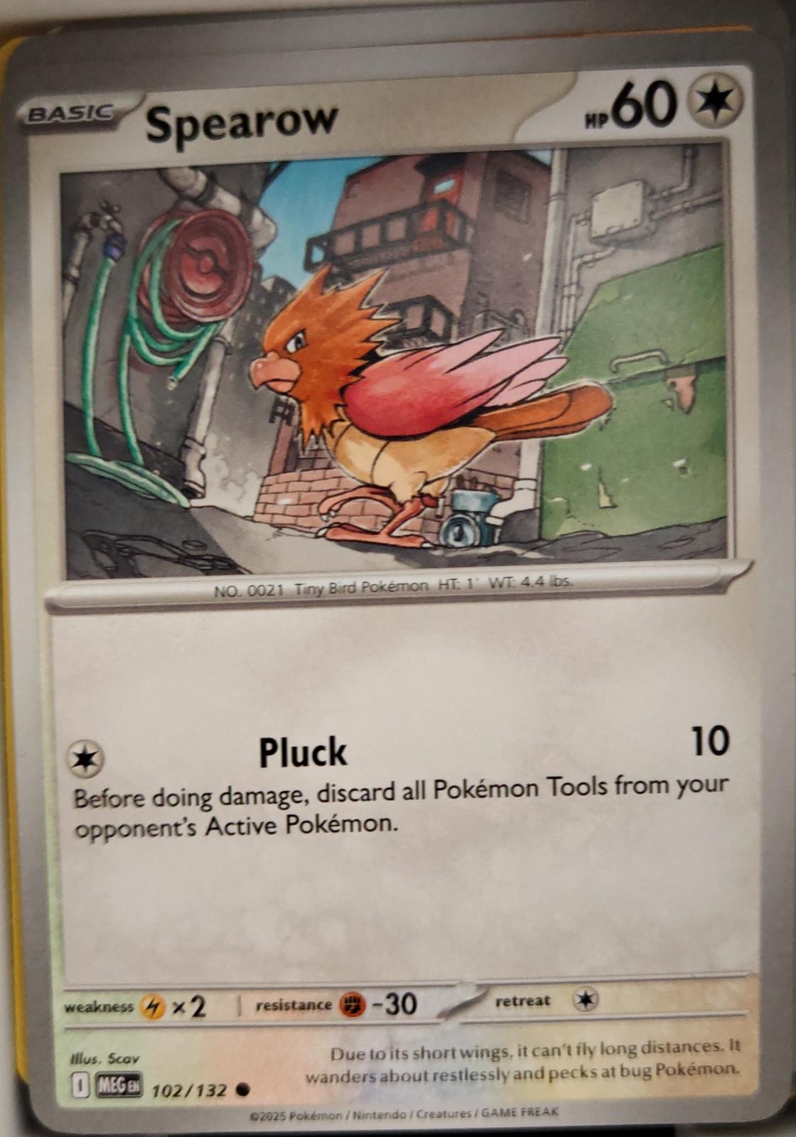 Spearow - 102/132 - - MEGA EVOLUTION - Pokemon - Common | AA03-42