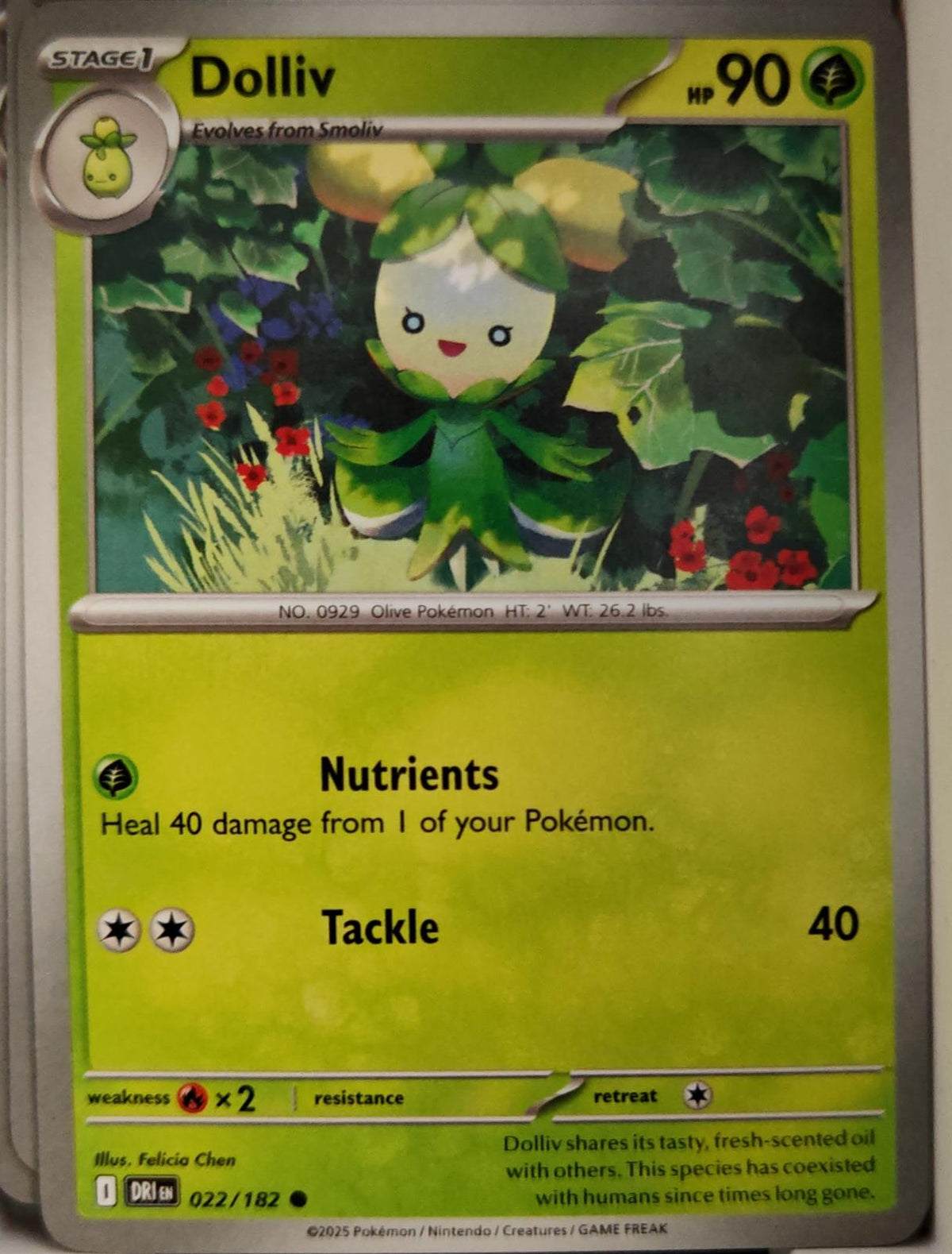 Dolliv - 022/182 - - DESTINED RIVALS - Pokemon - Common | AA12-26