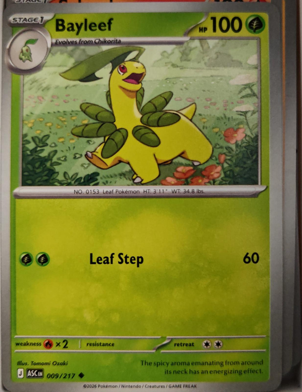 Bayleef - 009/217 - - ASCENDED HEROES - Pokemon - Uncommon | AA10-31