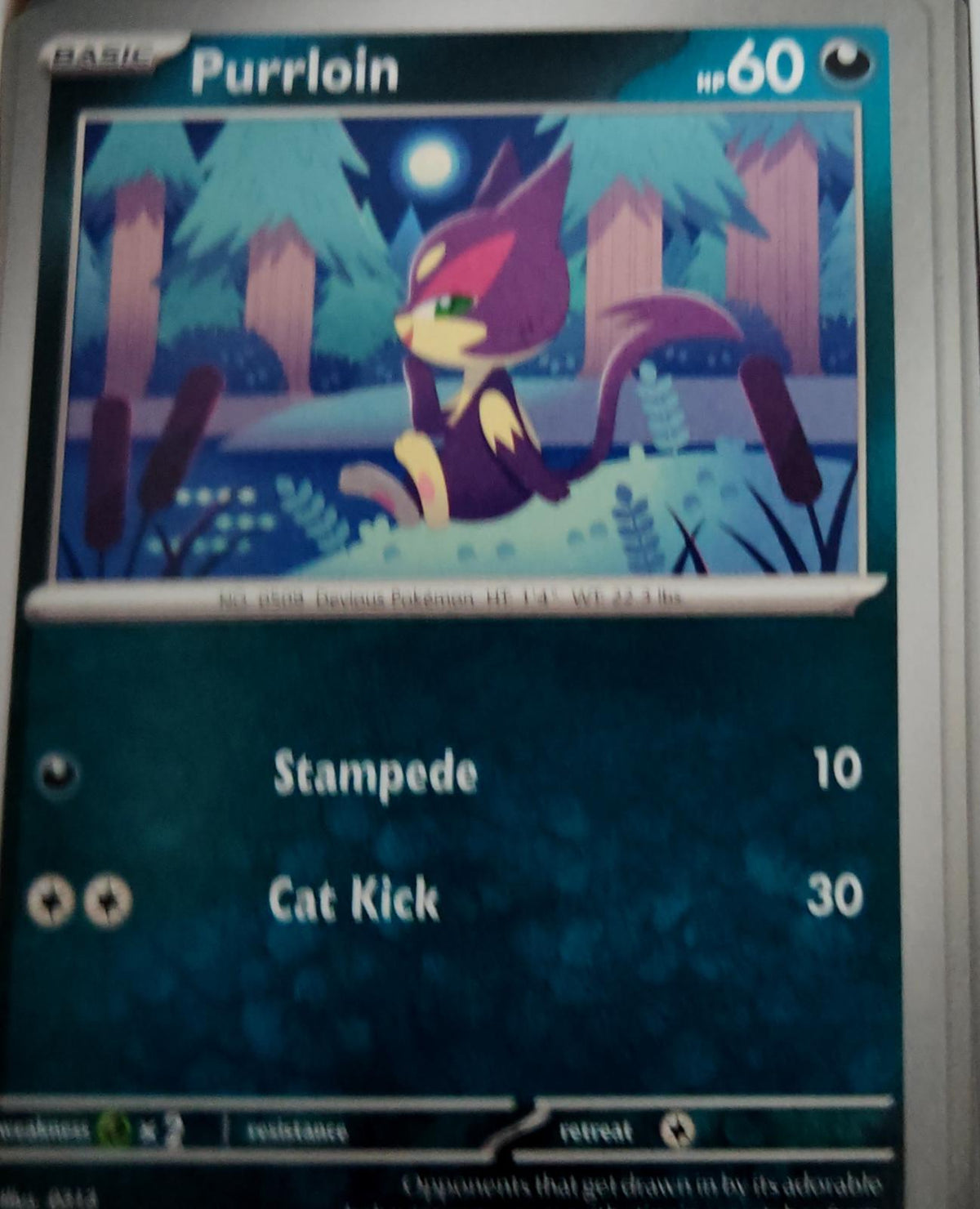 Purrloin - 114/182 - - PARADOX RIFT - Pokemon - Common | AA47-91