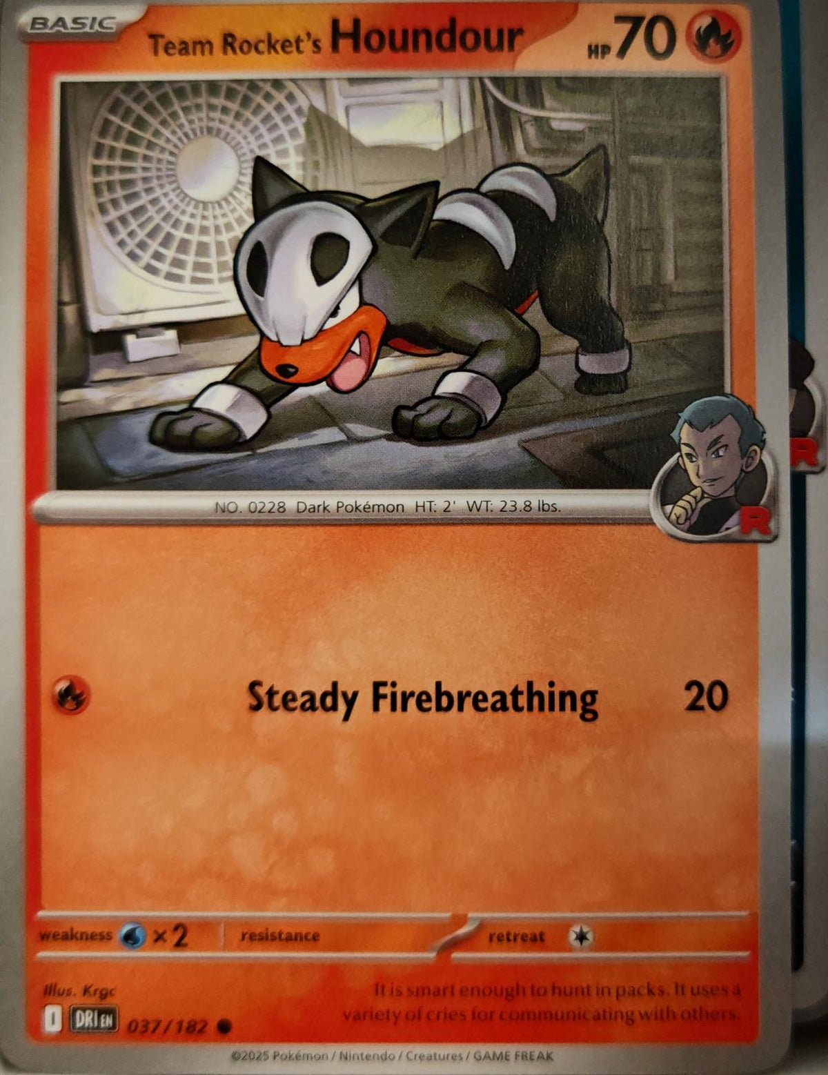 Team Rocket's Houndour - 037/182 - - DESTINED RIVALS - Pokemon - | AA10-59