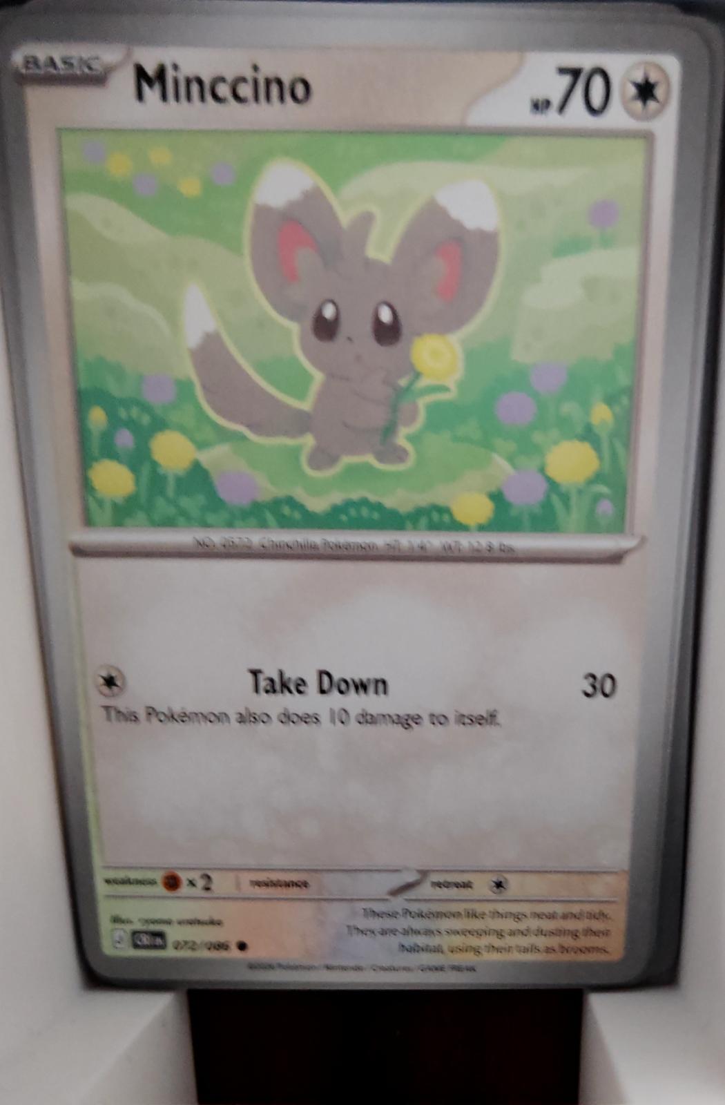 Minccino - 072/086 - - CHAOS RISING - Pokemon - Common | AA47-20
