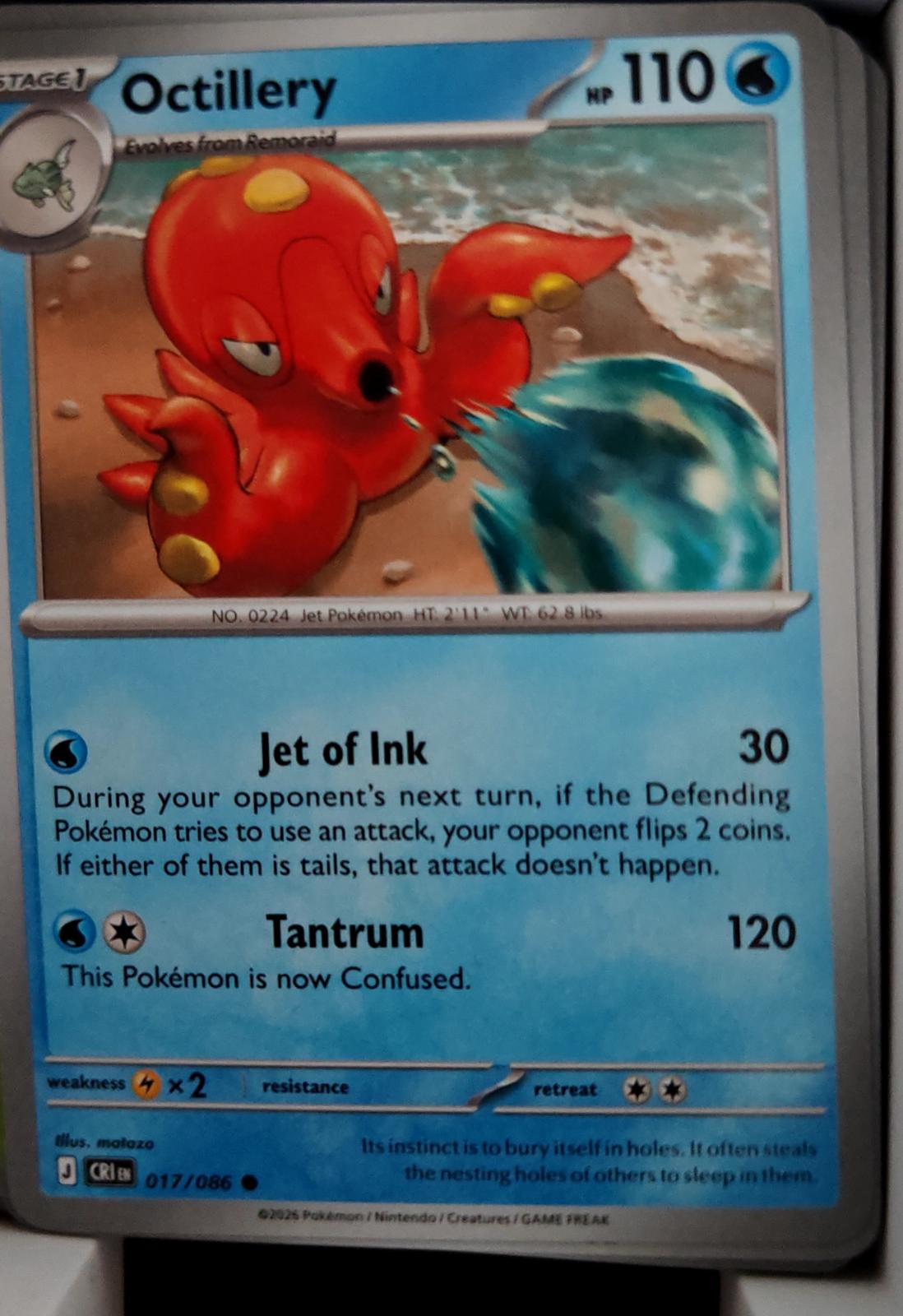 Octillery - 017/086 - - CHAOS RISING - Pokemon - Common | AA42-33