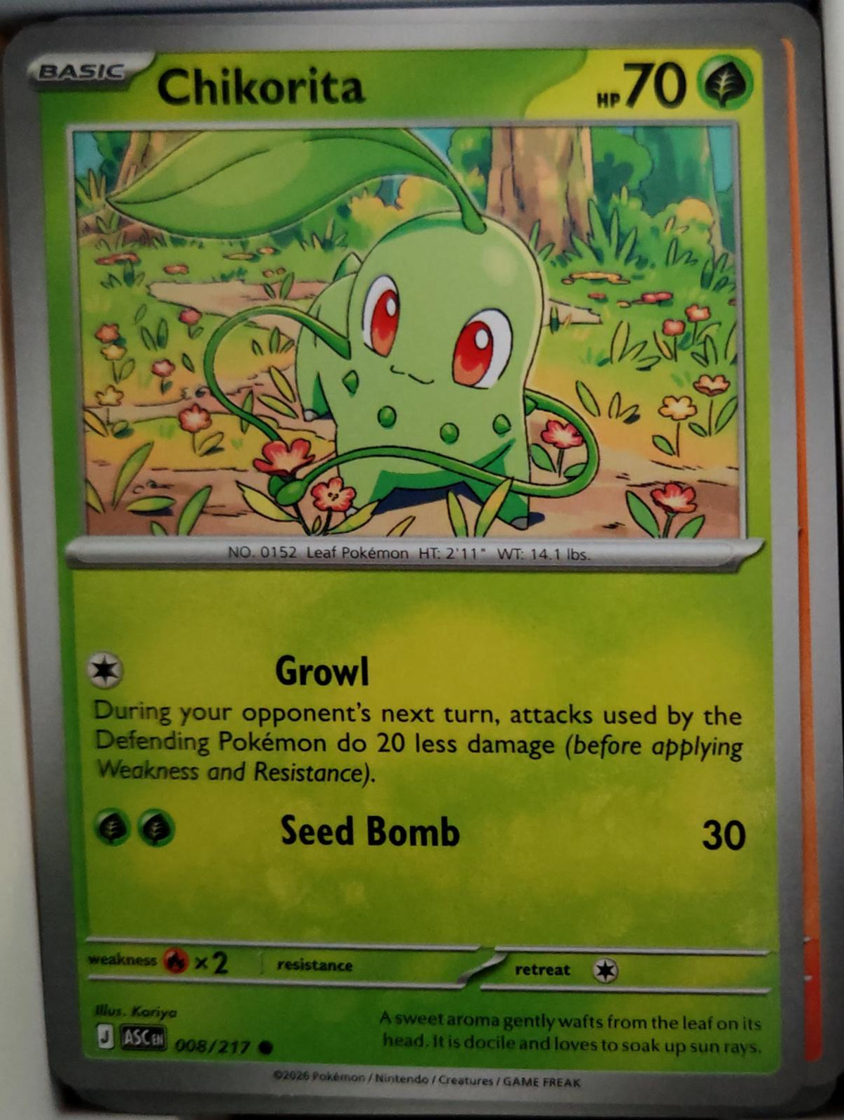 Chikorita - 008/217 - - ASCENDED HEROES - Pokemon - Common | AA45-68