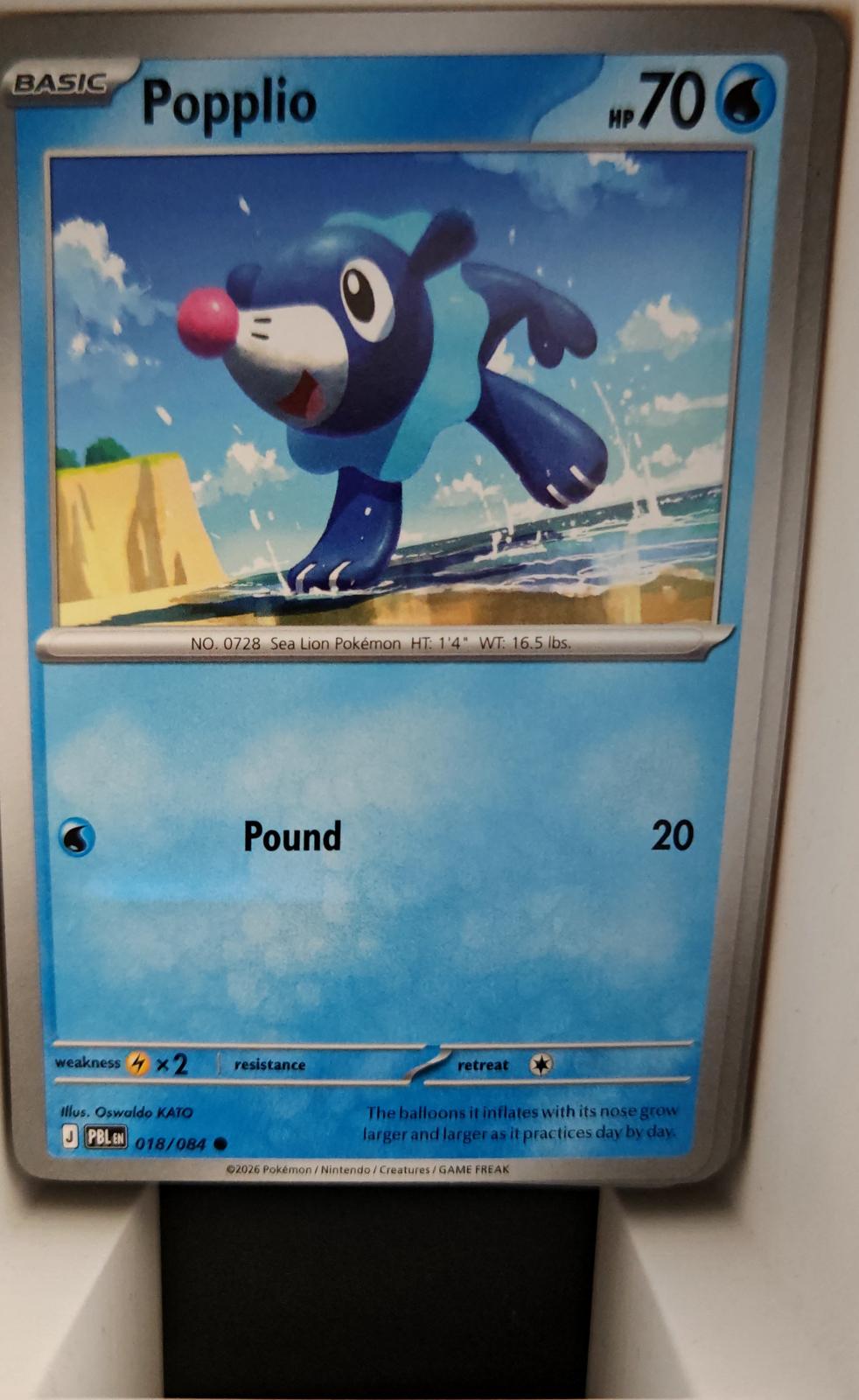 Popplio - 018/084 - - PITCH BLACK - Pokemon - Common | AA17-58