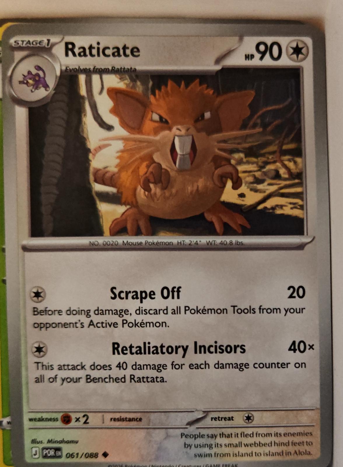Raticate - 061/088 - - PERFECT ORDER - Pokemon - Uncommon | AA01-45
