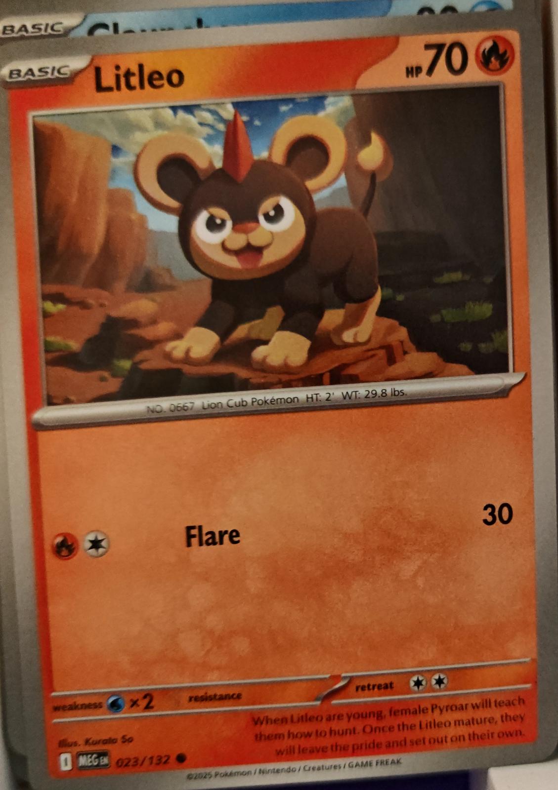 Litleo - 023/132 - - MEGA EVOLUTION - Pokemon - Common | AA01-71