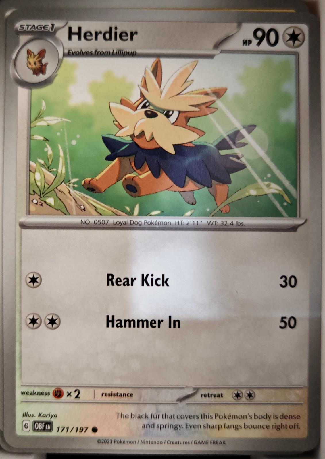 Herdier - 171/197 - - OBSIDIAN FLAMES - Pokemon - Common | AA05-55