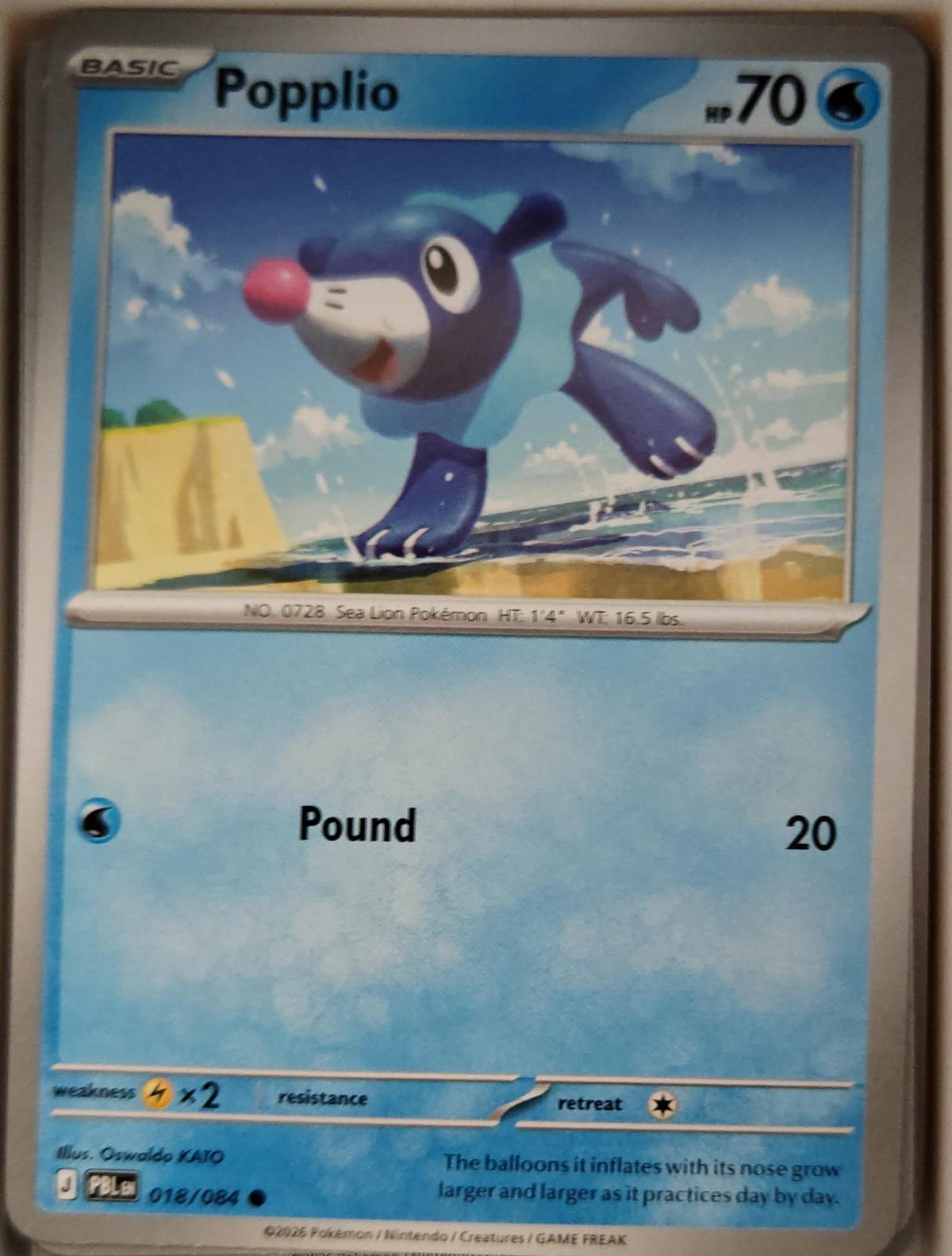 Popplio - 018/084 - - PITCH BLACK - Pokemon - Common | AA16-23