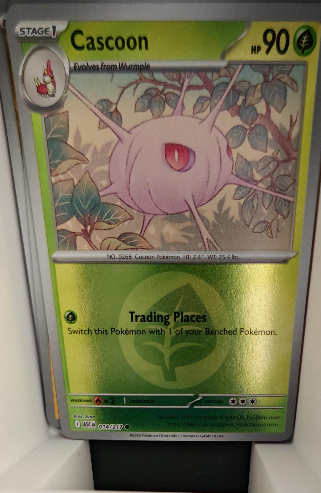Cascoon (Energy Symbol Pattern) - 014/217 - Reverse Holo - ASCENDED HEROES - Pokemon - | AA31-11