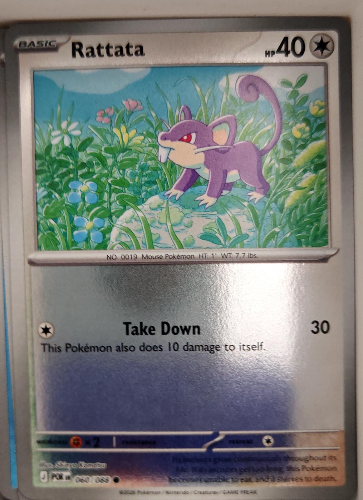Rattata - 060/088 - Reverse Holo - PERFECT ORDER - Pokemon - Common | AA04-42