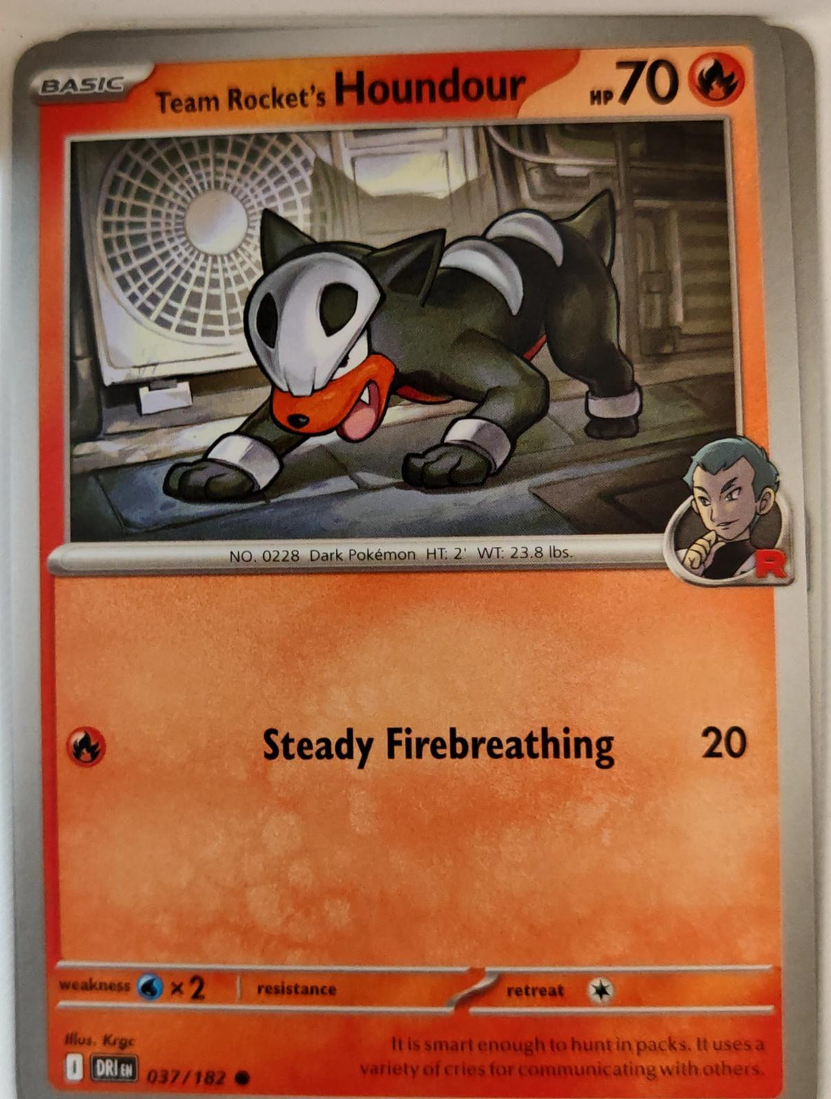 Team Rocket's Houndour - 037/182 - - DESTINED RIVALS - Pokemon - Common | AA07-3