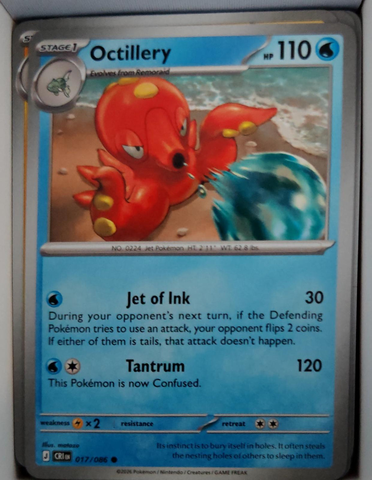 Octillery - 017/086 - - CHAOS RISING - Pokemon - Common | AA47-27
