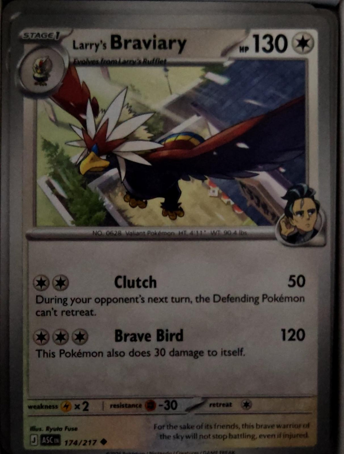 Larry's Braviary - 174/217 - - ASCENDED HEROES - Pokemon - Uncommon | AA50-19