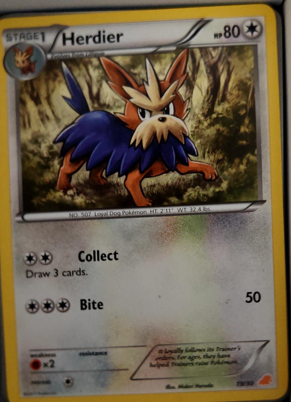 Herdier - 82/114 - - BLACK & WHITE - Pokemon - Uncommon | AA43-92