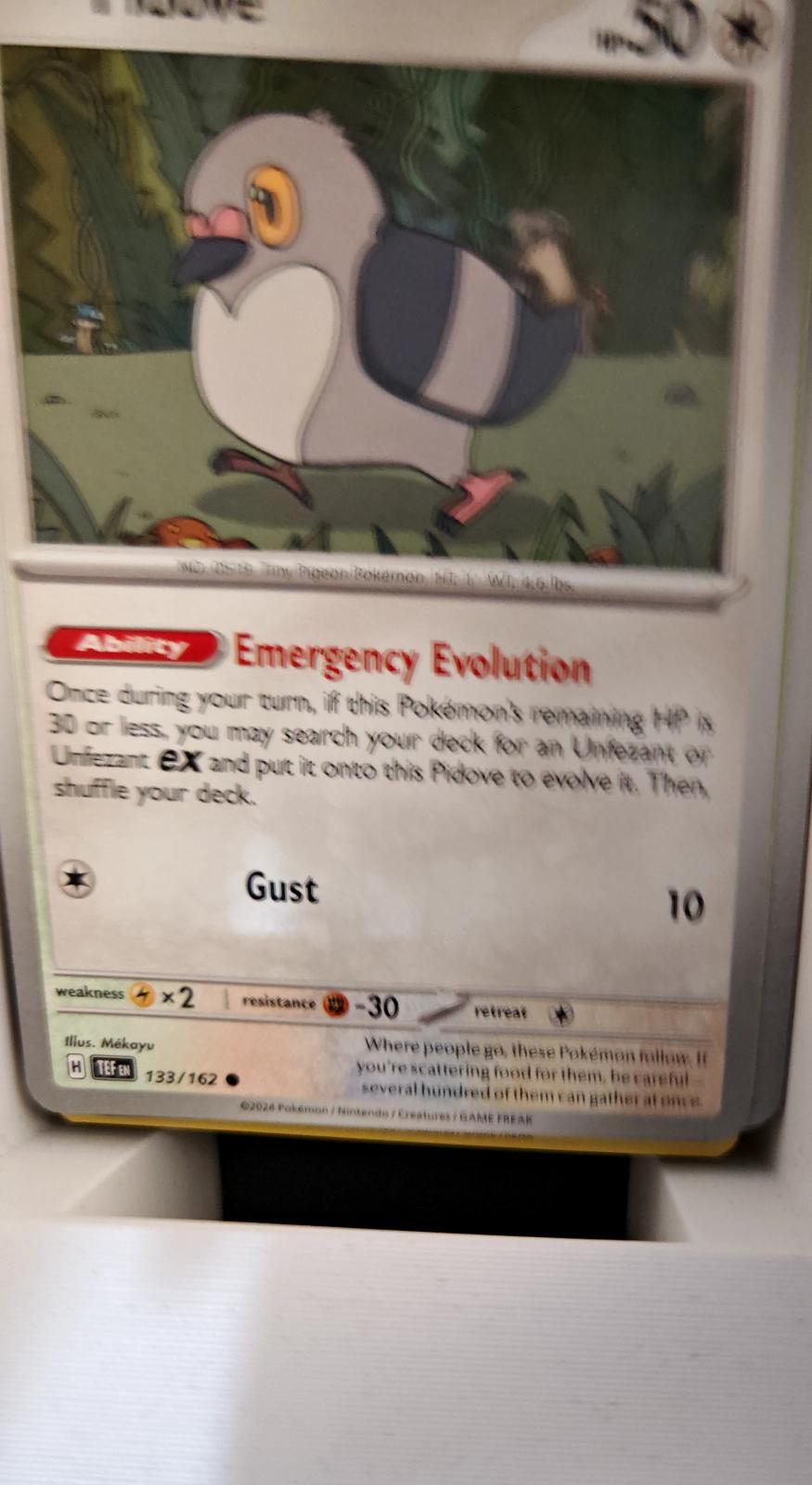 Pidove - 133/162 - - TEMPORAL FORCES - Pokemon - Common | AA21-93