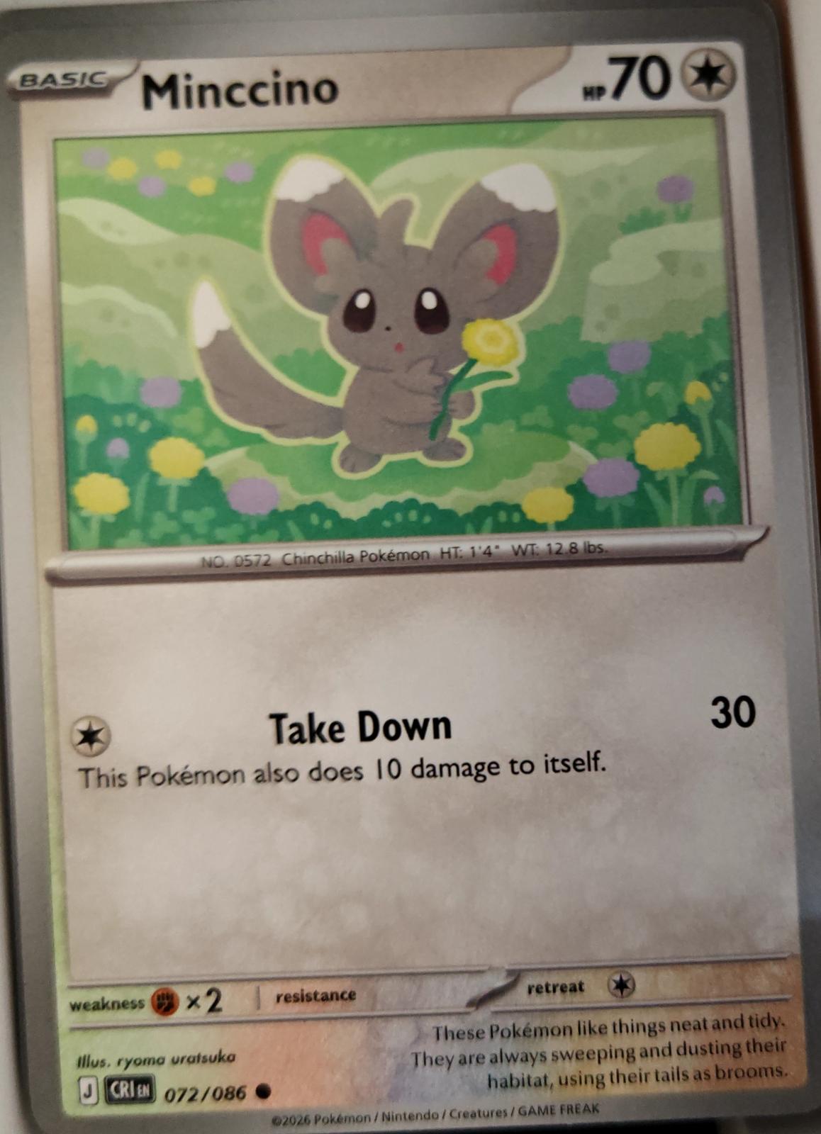 Minccino - 072/086 - - CHAOS RISING - Pokemon - Common | AA23-97