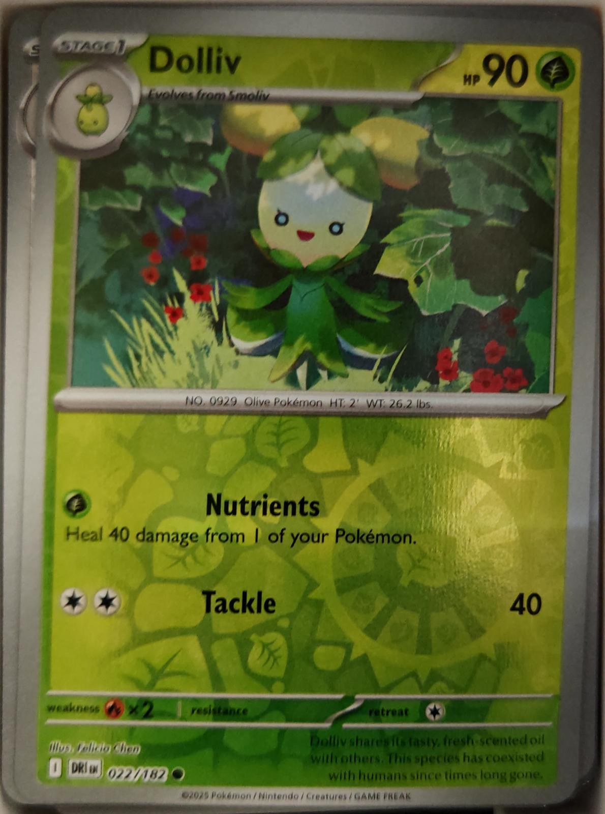 Dolliv - 022/182 - Reverse Holo - DESTINED RIVALS - Pokemon - Common | AA20-38