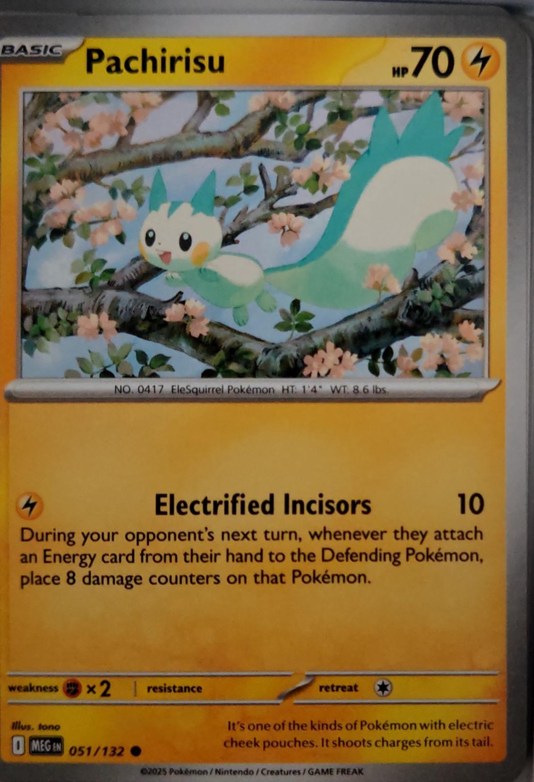 Pachirisu - 051/132 - - MEGA EVOLUTION - Pokemon - Common | AA45-9