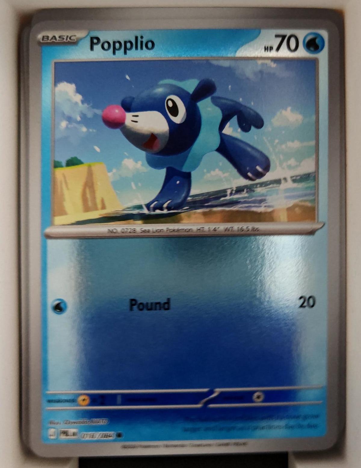 Popplio - 018/084 - Reverse Holo - PITCH BLACK - Pokemon - Common | AA26-31