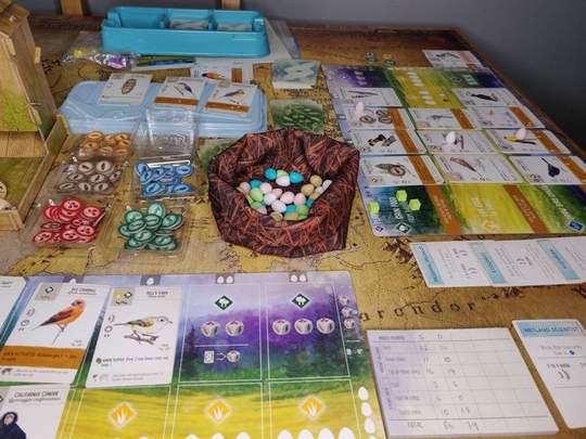 Wingspan/Wyrmspan - BoardGameSolutions