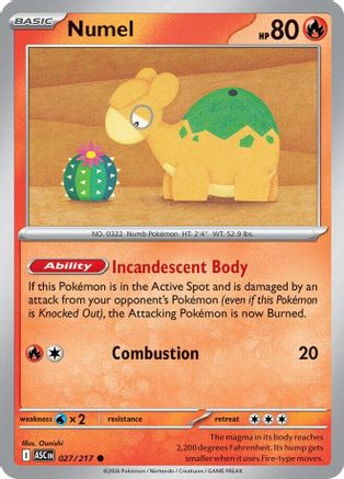 Numel - 027/217 - - ASCENDED HEROES - Pokemon - Common | AA11-79