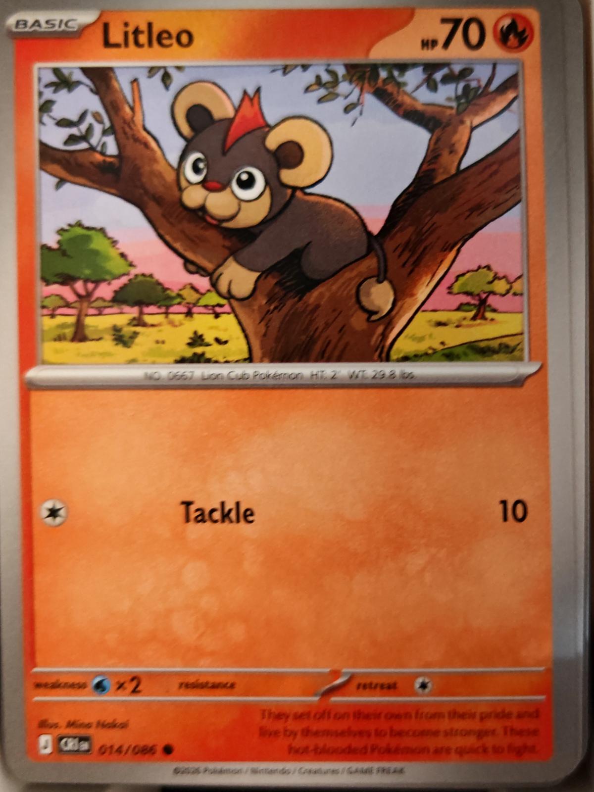 Litleo - 014/086 - - CHAOS RISING - Pokemon - Common | AA23-96
