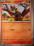 Litleo - 014/086 - - CHAOS RISING - Pokemon - Common | AA23-96