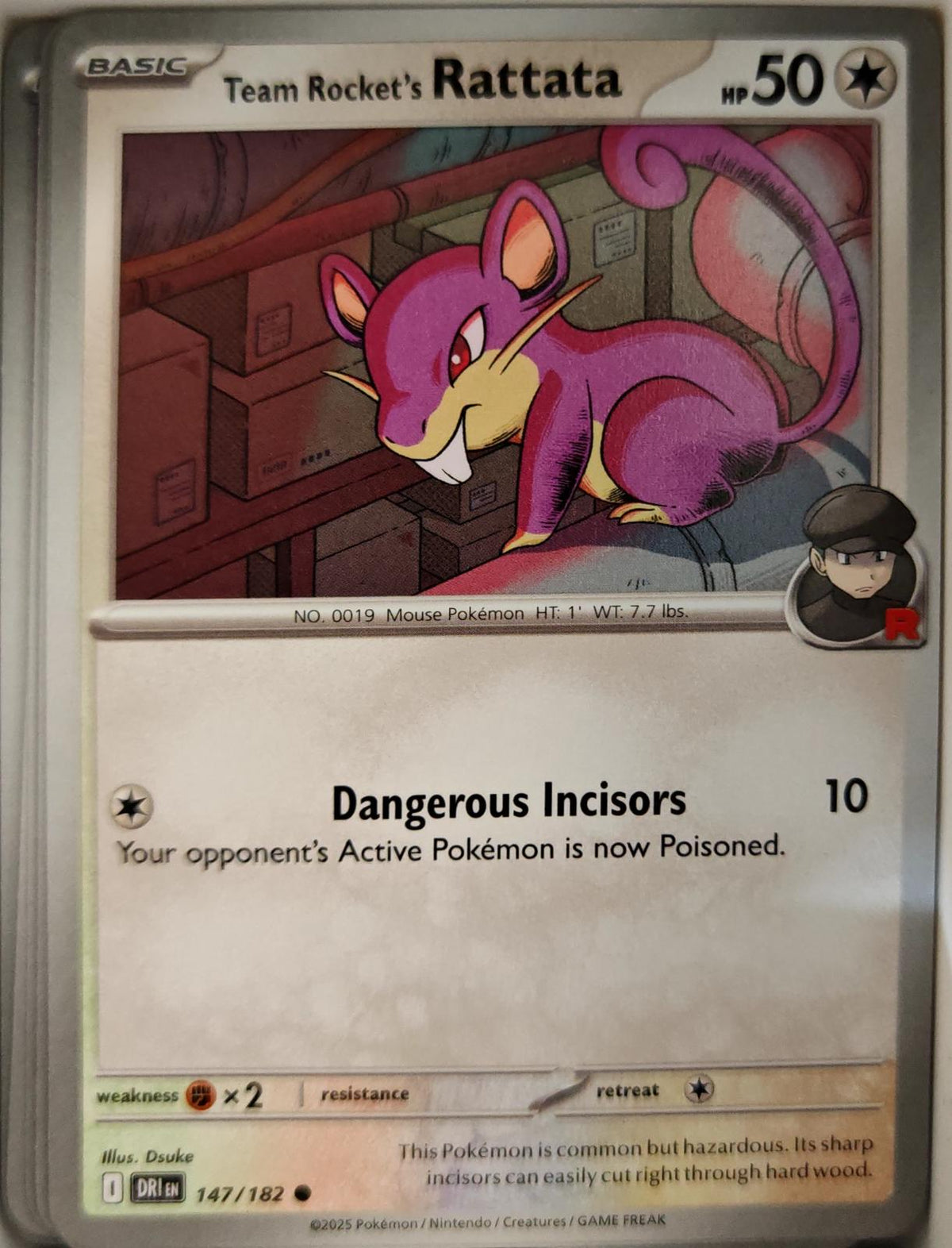 Team Rocket's Rattata - 147/182 - - DESTINED RIVALS - Pokemon - Common | AA10-47