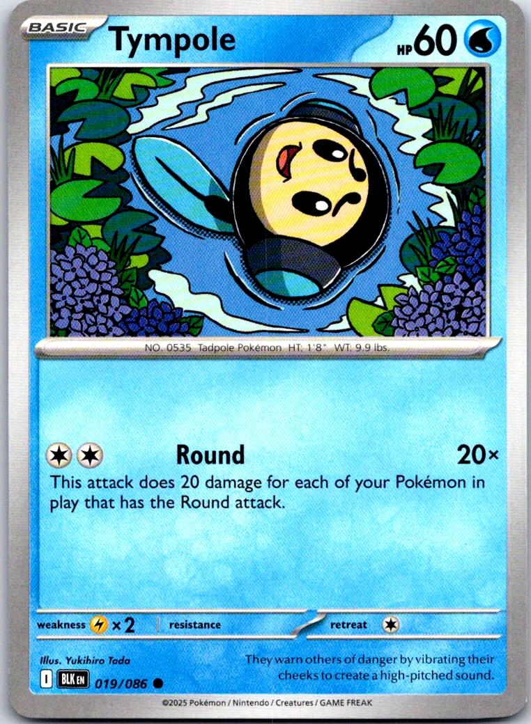 Tympole - 019/086 - - BLACK BOLT - Pokemon - Common | AA107-30