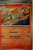 Rapidash - 027/162 - - TEMPORAL FORCES - Pokemon - Uncommon | AA23-5