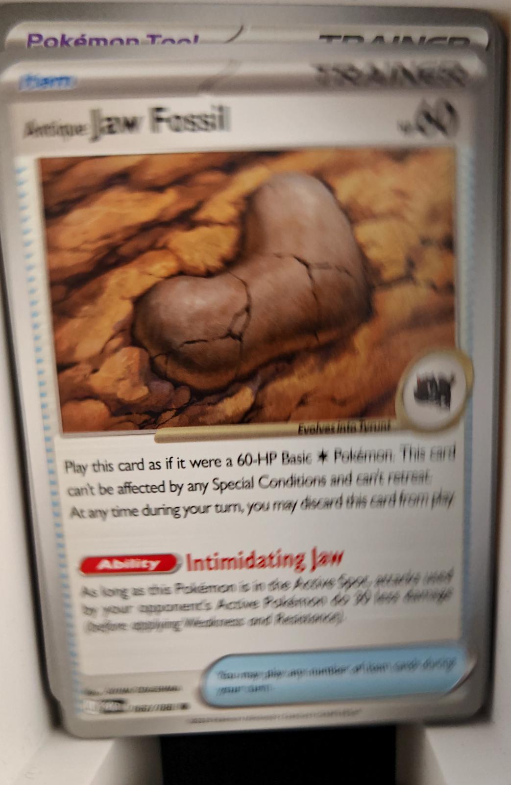 Antique Sail Fossil - 069/088 - - PERFECT ORDER - Pokemon - Common | AA24-95
