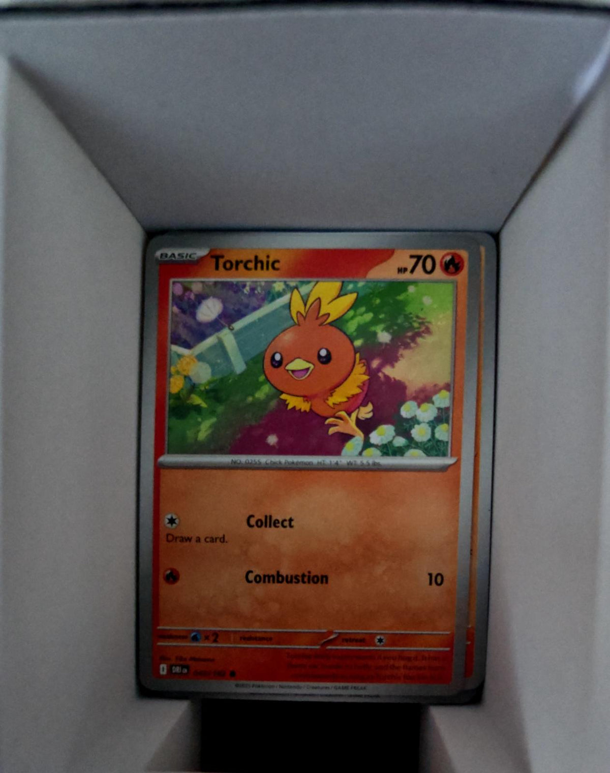 Torchic - 040/182 - - DESTINED RIVALS - Pokemon - Common | AA51-46