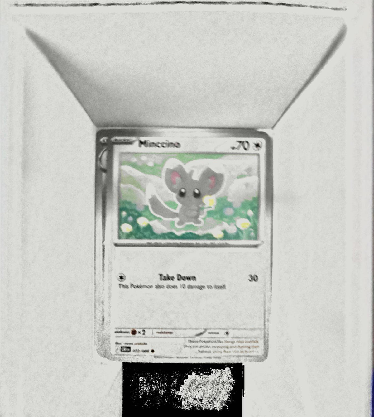 Minccino - 072/086 - - CHAOS RISING - Pokemon - Common | AA54-4